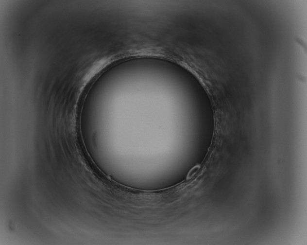 X0000093390008200710191202