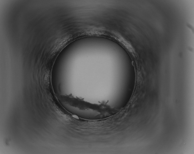 X0000093390009200710191202