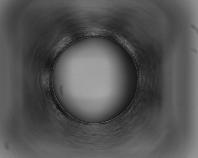 X0000093390010200710191202