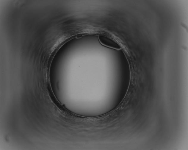 X0000093390011200710191202