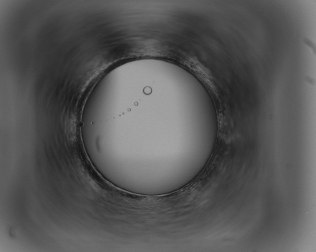 X0000093390012200710191202