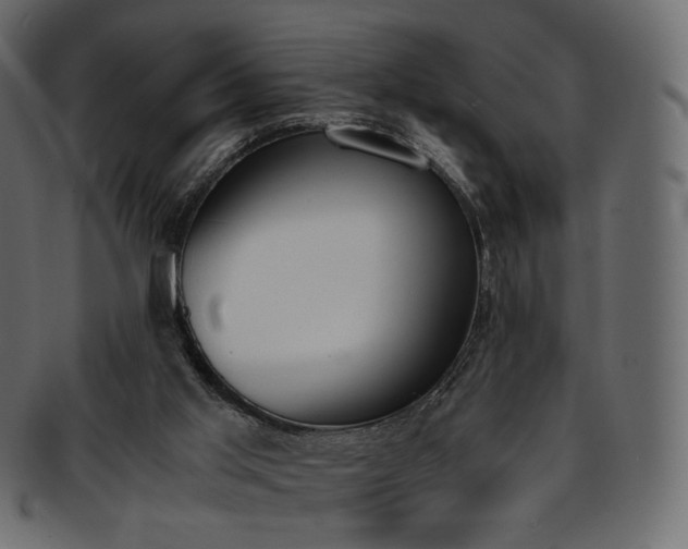 X0000093390013200710191202