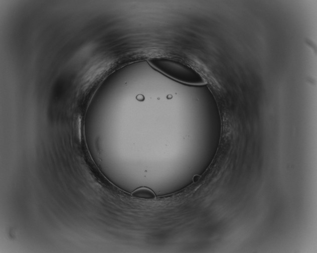 X0000093390014200710191202