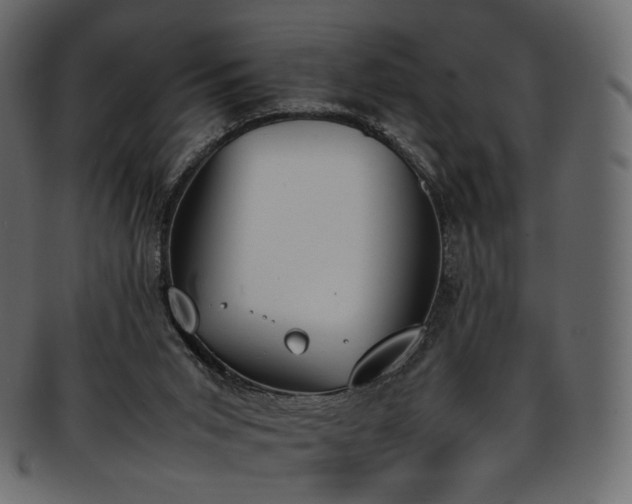 X0000093390015200710191202