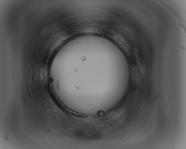 X0000093390016200710191202