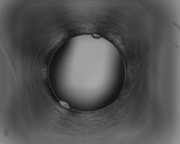 X0000093390017200710191202