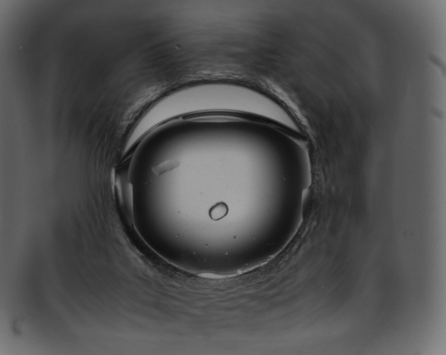 X0000093390019200710191202