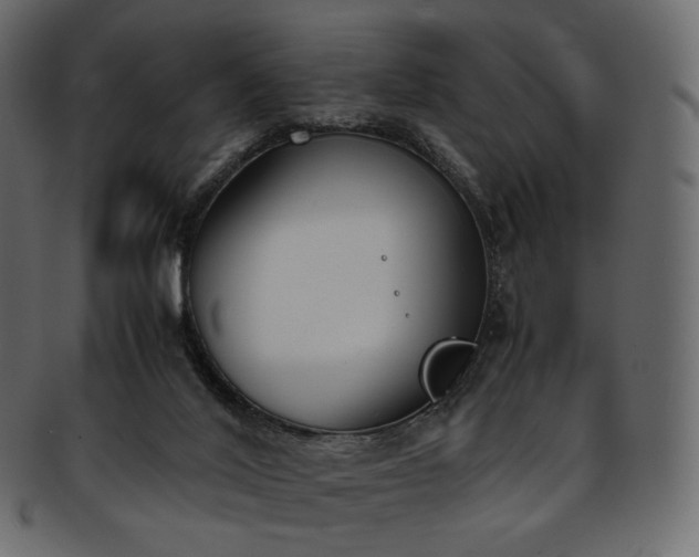 X0000093390020200710191202