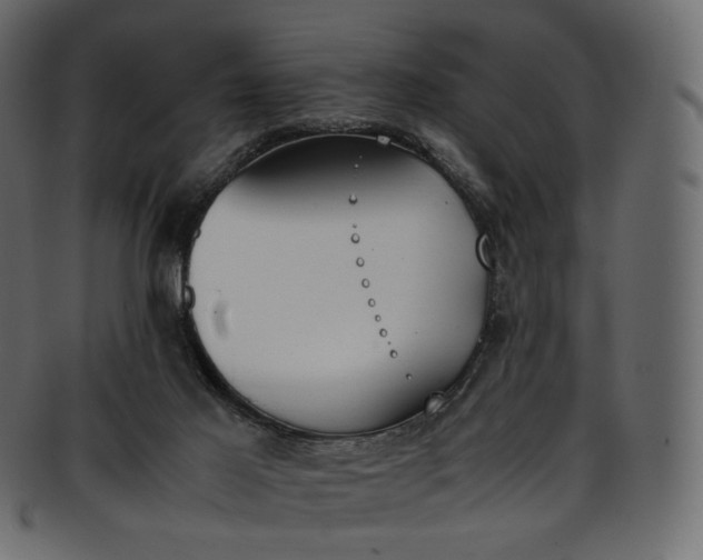 X0000093390021200710191202