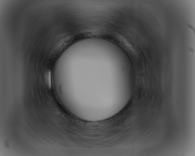 X0000093390022200710191202