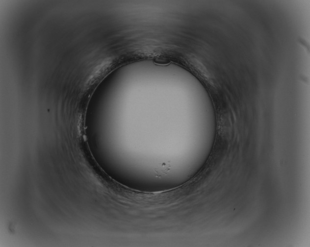 X0000093390023200710191202