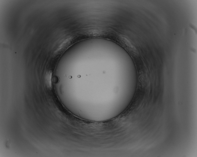 X0000093390024200710191202