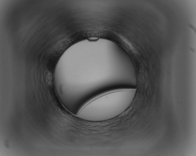 X0000093390025200710191202