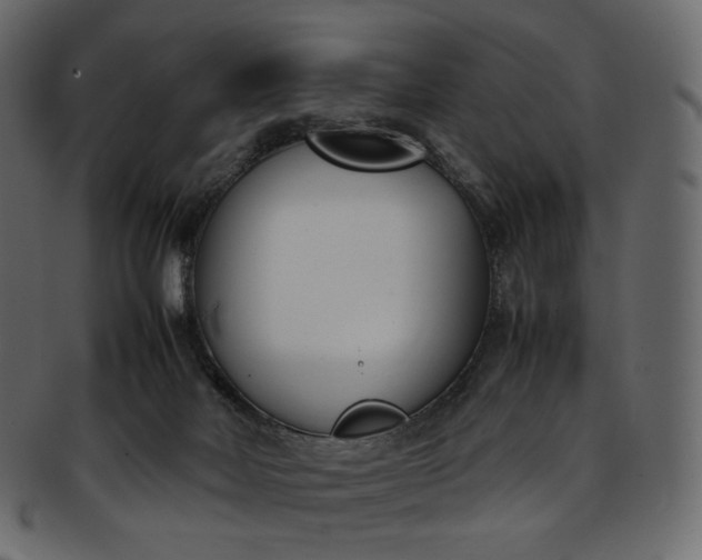 X0000093390026200710191202