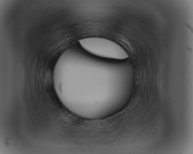 X0000093390029200710191202