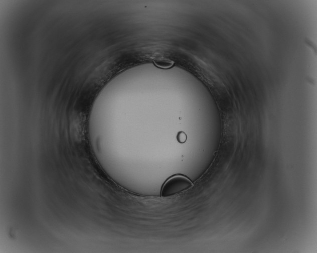 X0000093390030200710191202