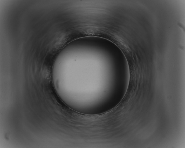 X0000093390031200710191202