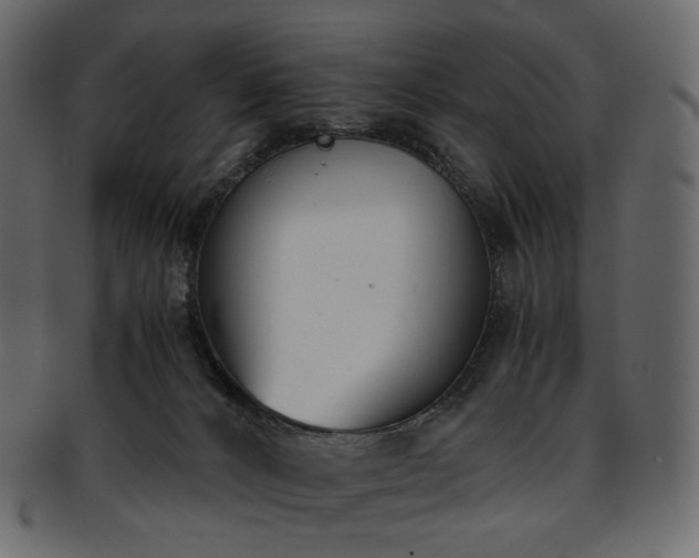 X0000093390032200710191202