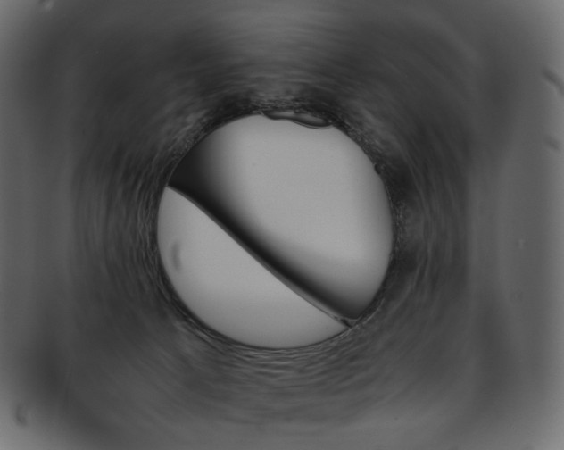 X0000093390033200710191202