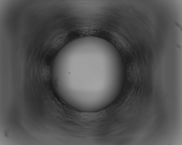 X0000093390034200710191202