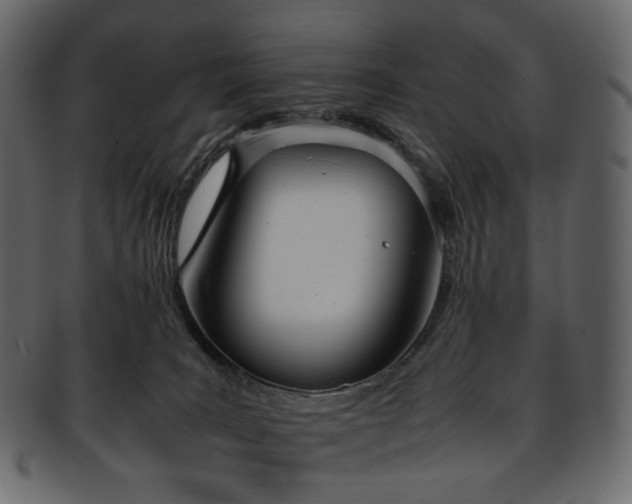 X0000093390035200710191202