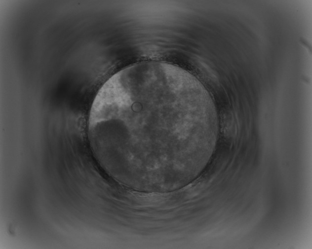 X0000093390036200710191202