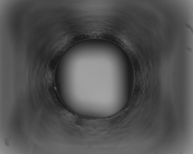 X0000093390037200710191202