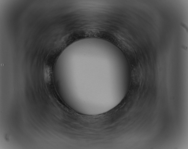 X0000093390038200710191202