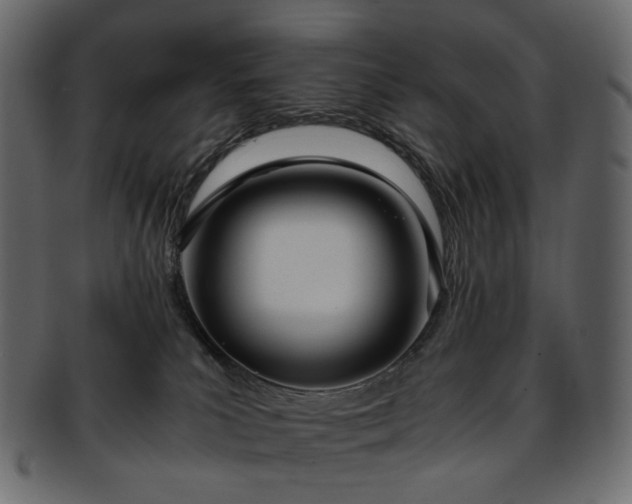 X0000093390039200710191202