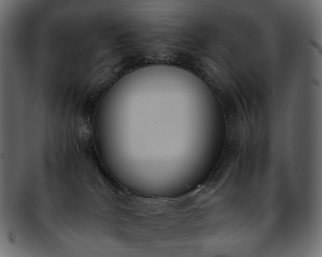 X0000093390040200710191202