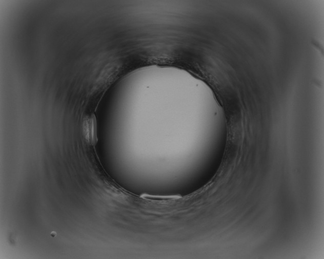 X0000093390041200710191202