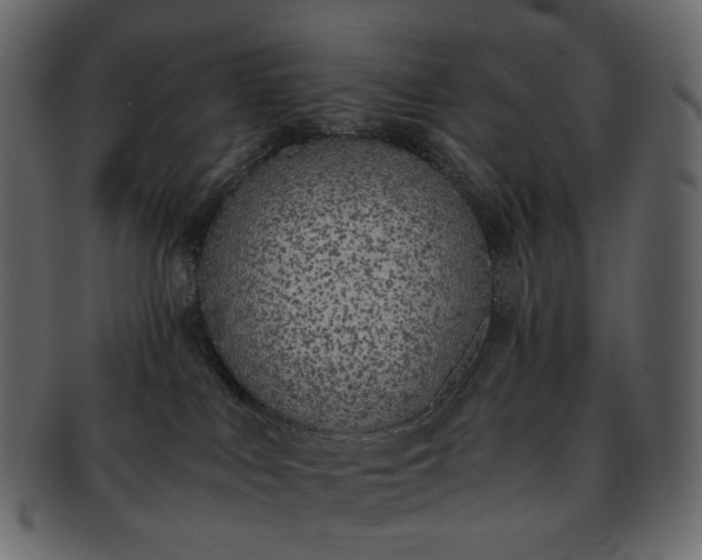 X0000093390043200710191202