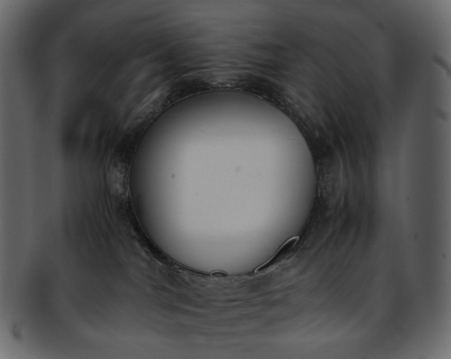 X0000093390044200710191202