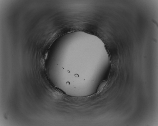 X0000093390045200710191202