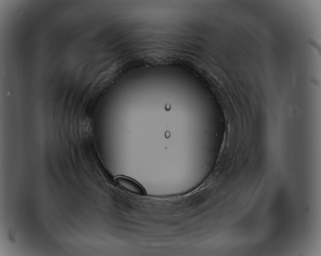 X0000093390048200710191202