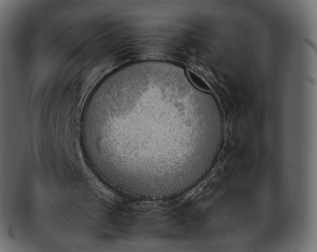 X0000093390049200710191201