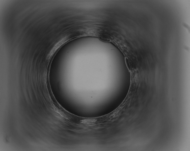 X0000093390051200710191201