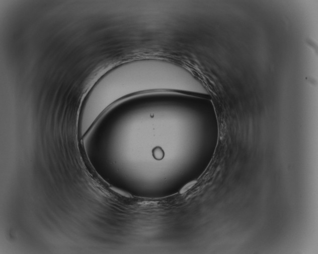 X0000093390052200710191201