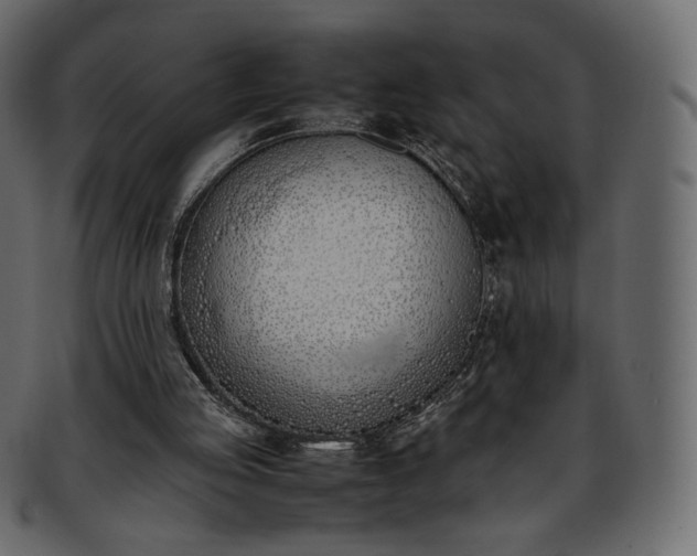 X0000093390053200710191201