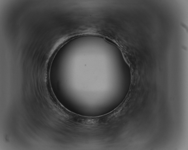 X0000093390056200710191201