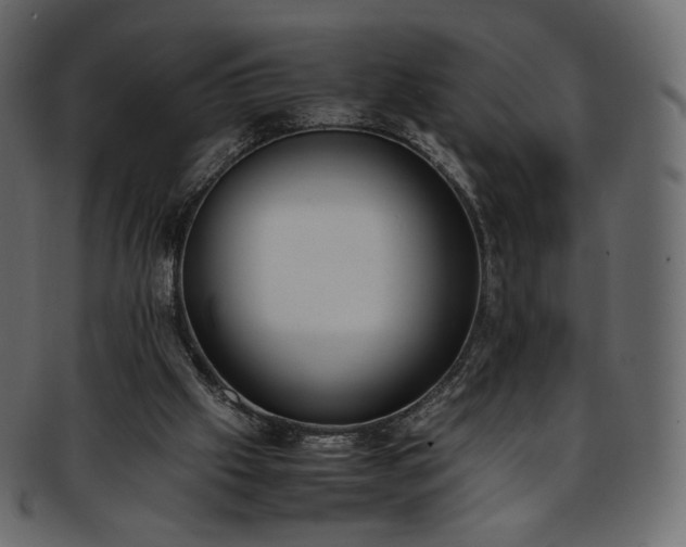 X0000093390057200710191201