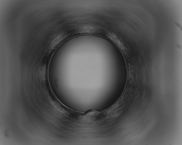 X0000093390058200710191201