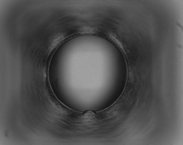 X0000093390059200710191201