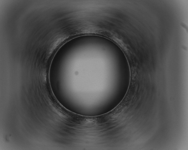 X0000093390060200710191201