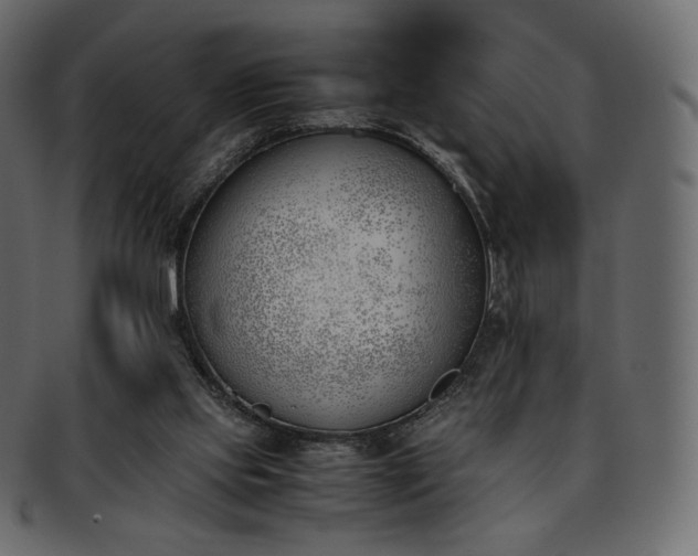 X0000093390061200710191201