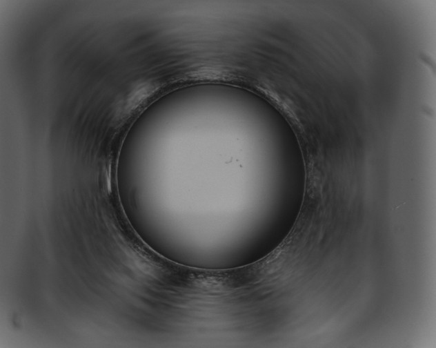 X0000093390062200710191201