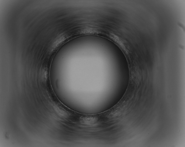 X0000093390063200710191201