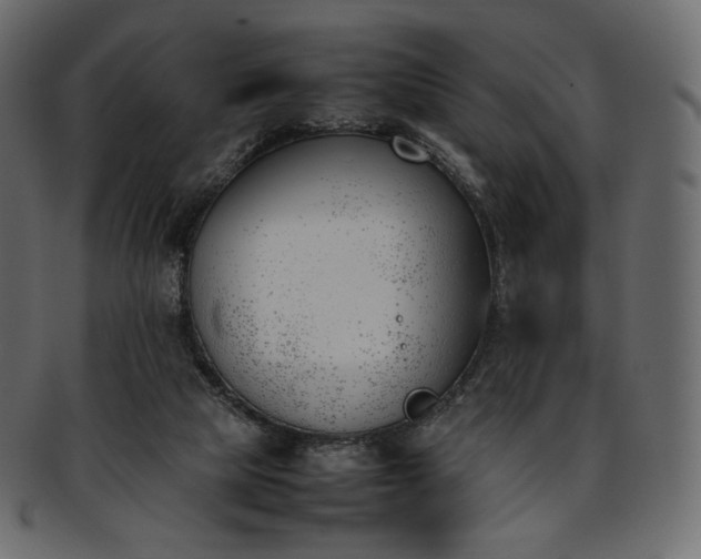 X0000093390065200710191201