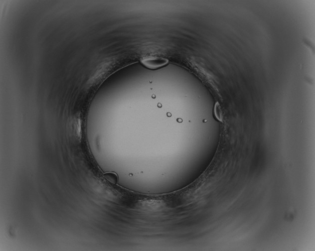 X0000093390067200710191202