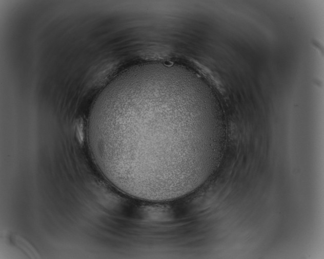 X0000093390069200710191202